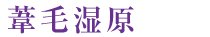 葦毛湿原
