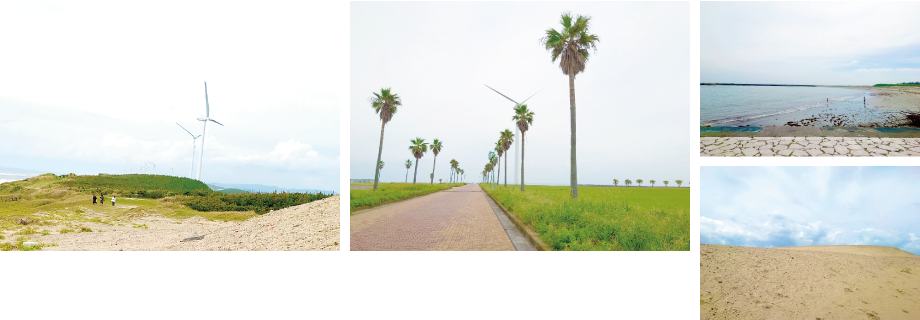 浜岡海岸の写真